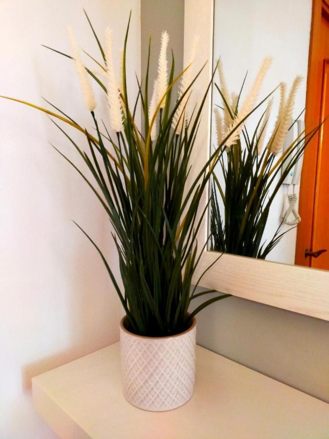 Apartament Geminis Wifi Parking Free Tossa de Mar Exteriör bild